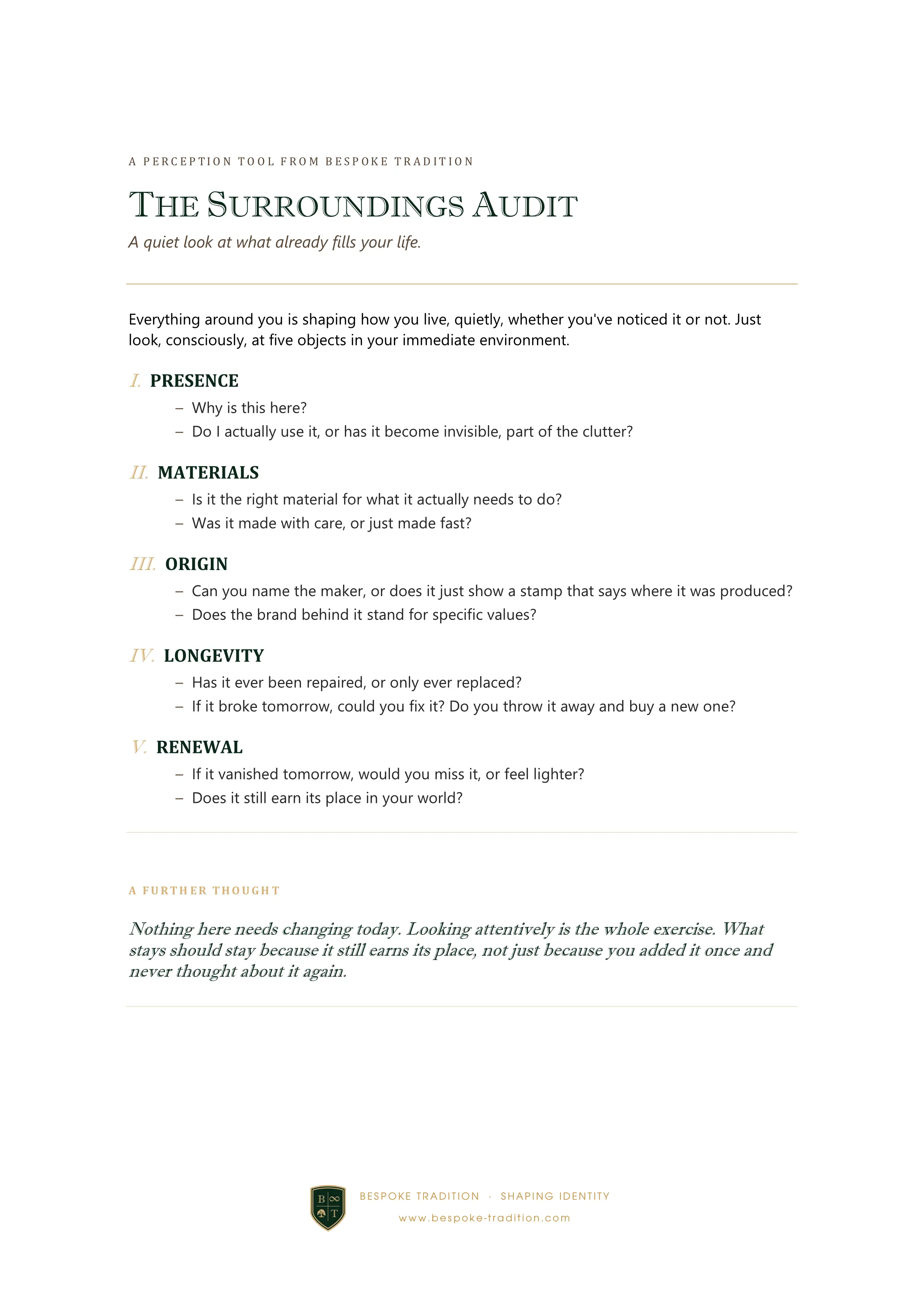 Preview of Surroundings Audit
